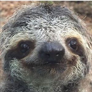 Meet your Posher, Tanya